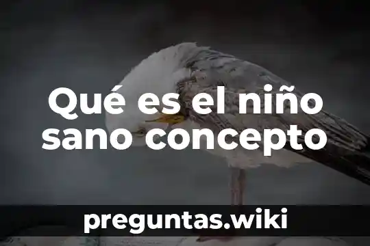 Qué es el niño sano concepto