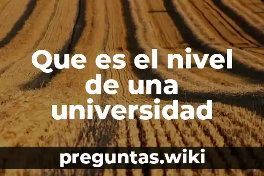 Que es el nivel de una universidad
