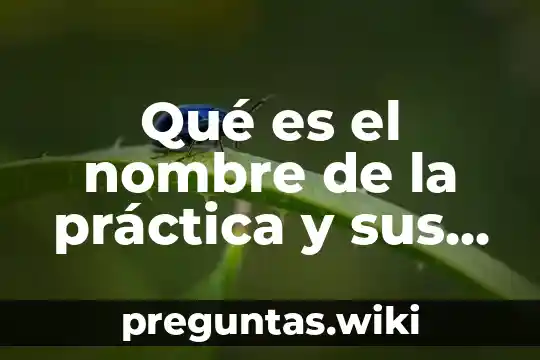 Qué es el nombre de la práctica y sus características