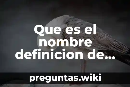 Que es el nombre definicion de diferentes autores
