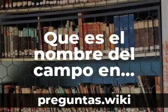 Que es el nombre del campo en access