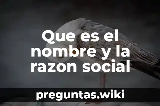 Que es el nombre y la razon social