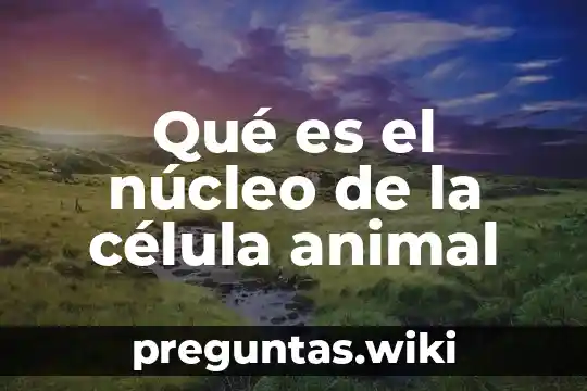 Qué es el núcleo de la célula animal