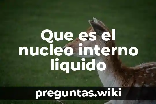 Que es el nucleo interno liquido