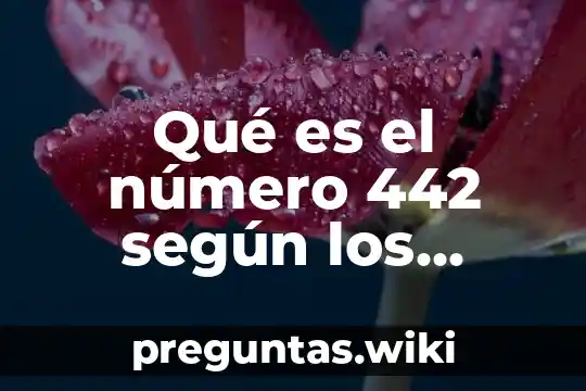 Qué es el número 442 según los ángeles