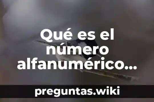 Qué es el número alfanumérico en dirección de la casa