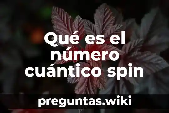 Qué es el número cuántico spin