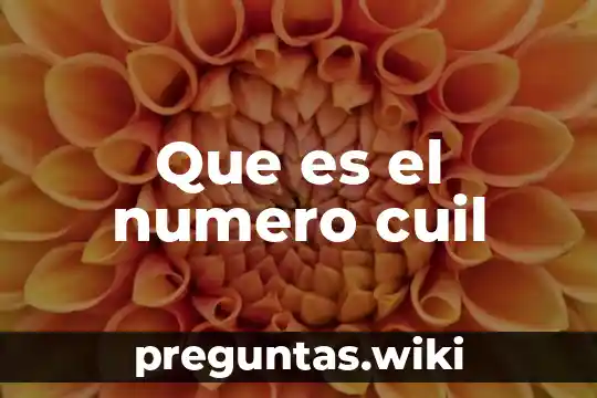 Que es el numero cuil