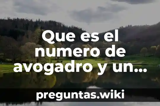 Que es el numero de avogadro y un producto quimico