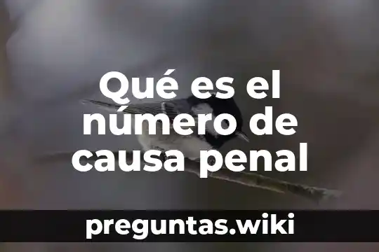 Qué es el número de causa penal