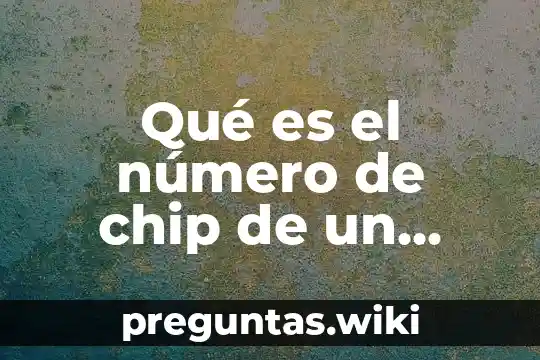 Qué es el número de chip de un automóvil