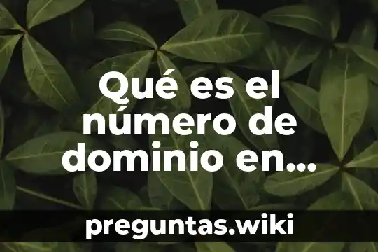 Qué es el número de dominio en página web