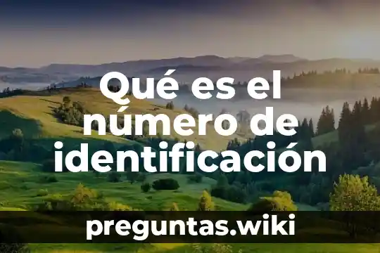 Qué es el número de identificación