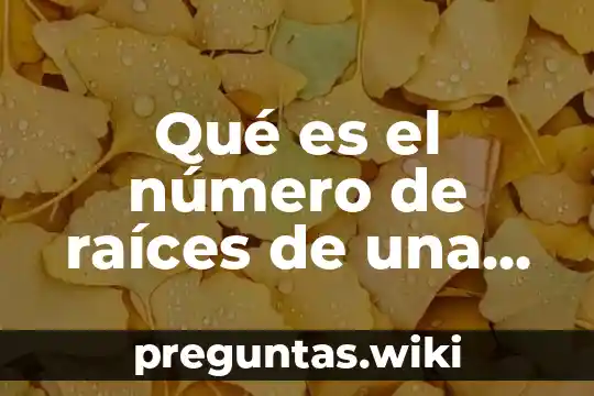 Qué es el número de raíces de una ecuación cuadrada