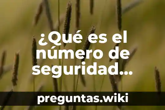 ¿Qué es el número de seguridad social en Europa?