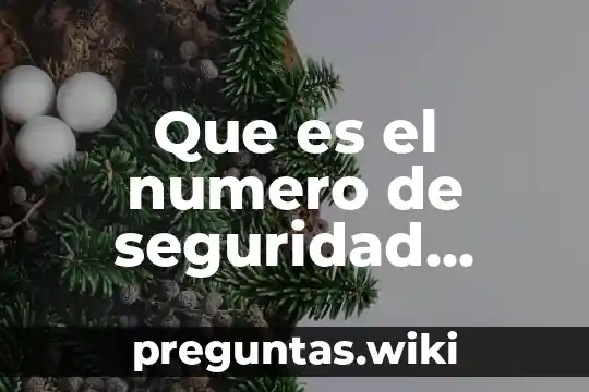 Que es el numero de seguridad social nss