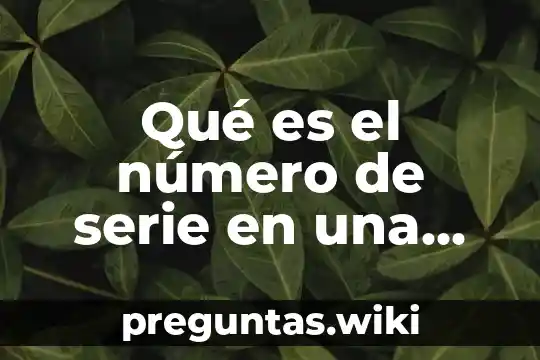 Qué es el número de serie en una factura