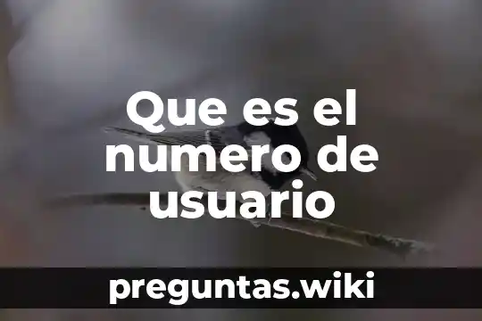 Que es el numero de usuario