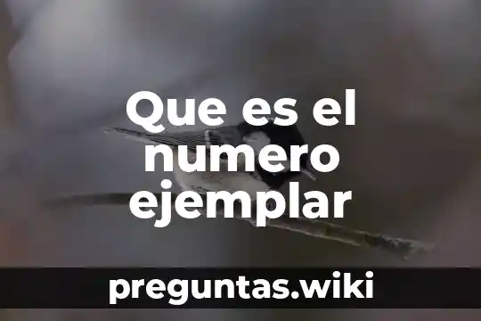 Que es el numero ejemplar