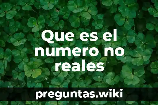 Que es el numero no reales