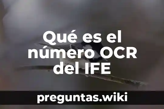 Qué es el número OCR del IFE