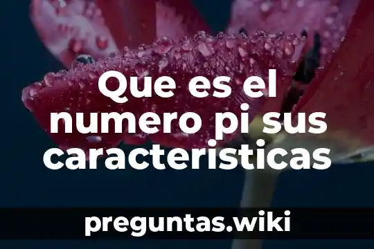 Que es el numero pi sus caracteristicas