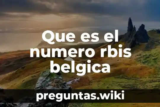Que es el numero rbis belgica