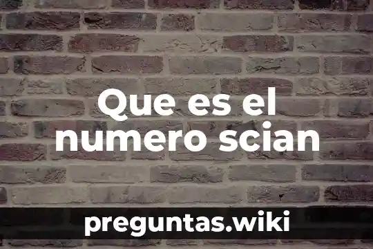 Que es el numero scian