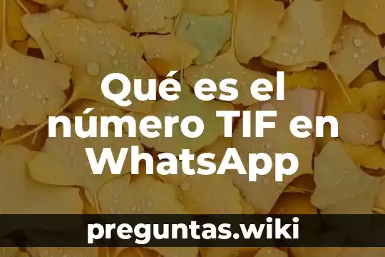 Qué es el número TIF en WhatsApp