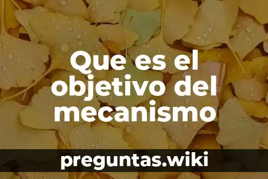 Que es el objetivo del mecanismo