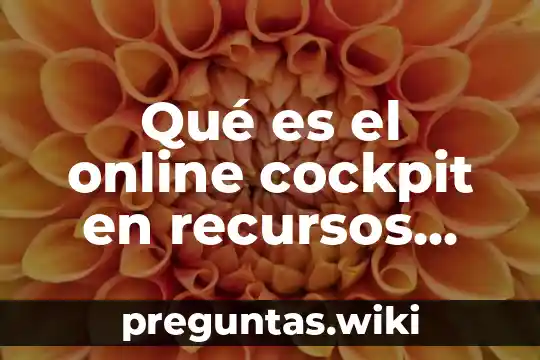 Qué es el online cockpit en recursos humanos