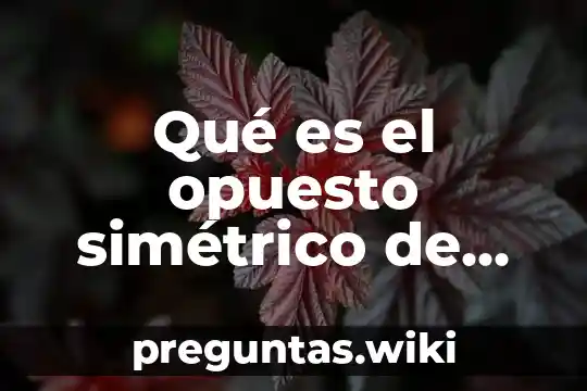 Qué es el opuesto simétrico de un número