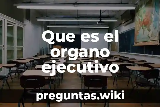 Que es el organo ejecutivo