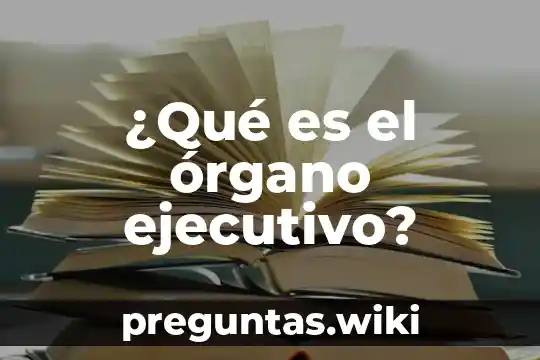¿Qué es el órgano ejecutivo?