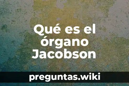 Qué es el órgano Jacobson