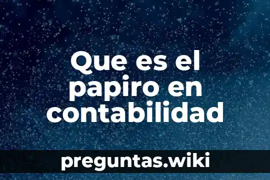 Que es el papiro en contabilidad
