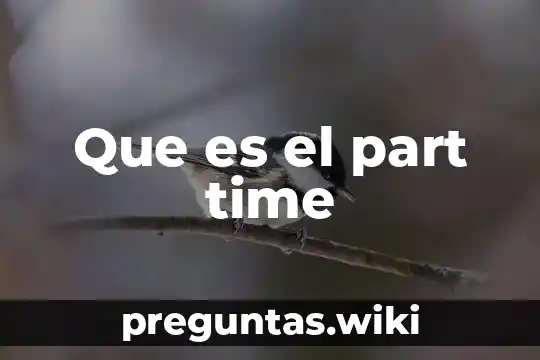 Que es el part time