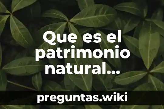 Que es el patrimonio natural monumentos naturales