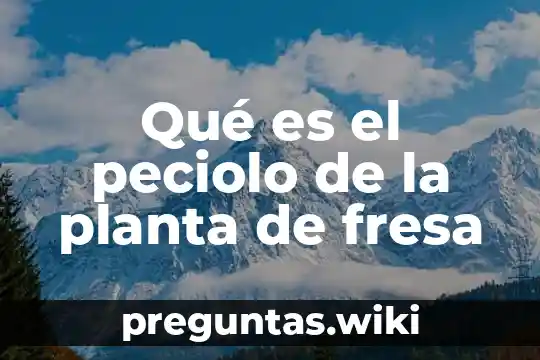 Qué es el peciolo de la planta de fresa