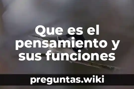 Que es el pensamiento y sus funciones