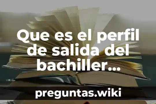 Que es el perfil de salida del bachiller ecuatoriano