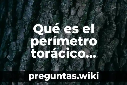 Qué es el perímetro torácico definición