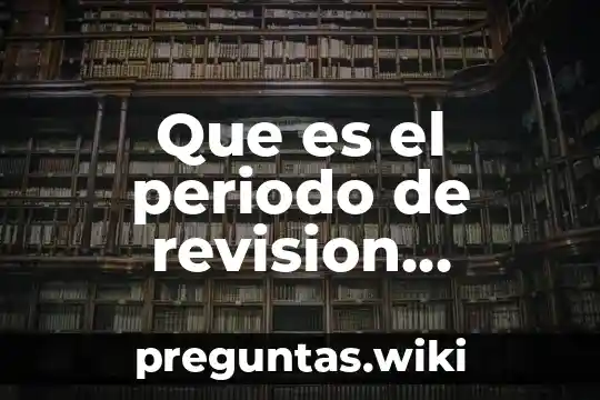 Que es el periodo de revision bibliografica en un proyecto
