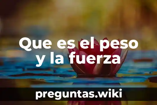 Que es el peso y la fuerza