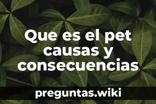 Que es el pet causas y consecuencias