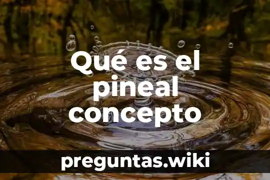 Qué es el pineal concepto