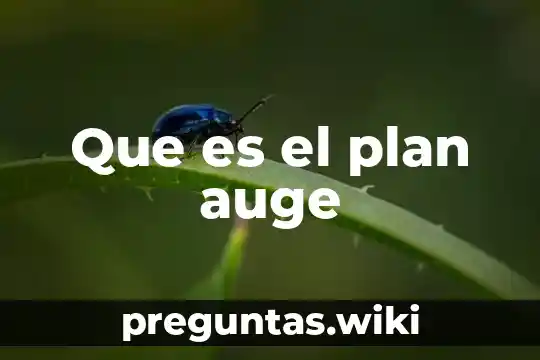 Que es el plan auge