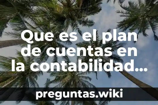 Que es el plan de cuentas en la contabilidad gubernamental