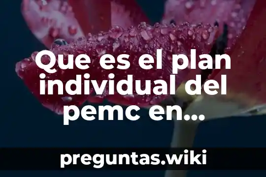 Que es el plan individual del pemc en educacion
