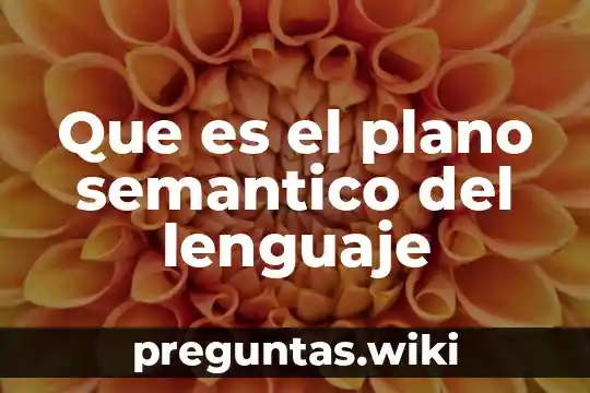 Que es el plano semantico del lenguaje